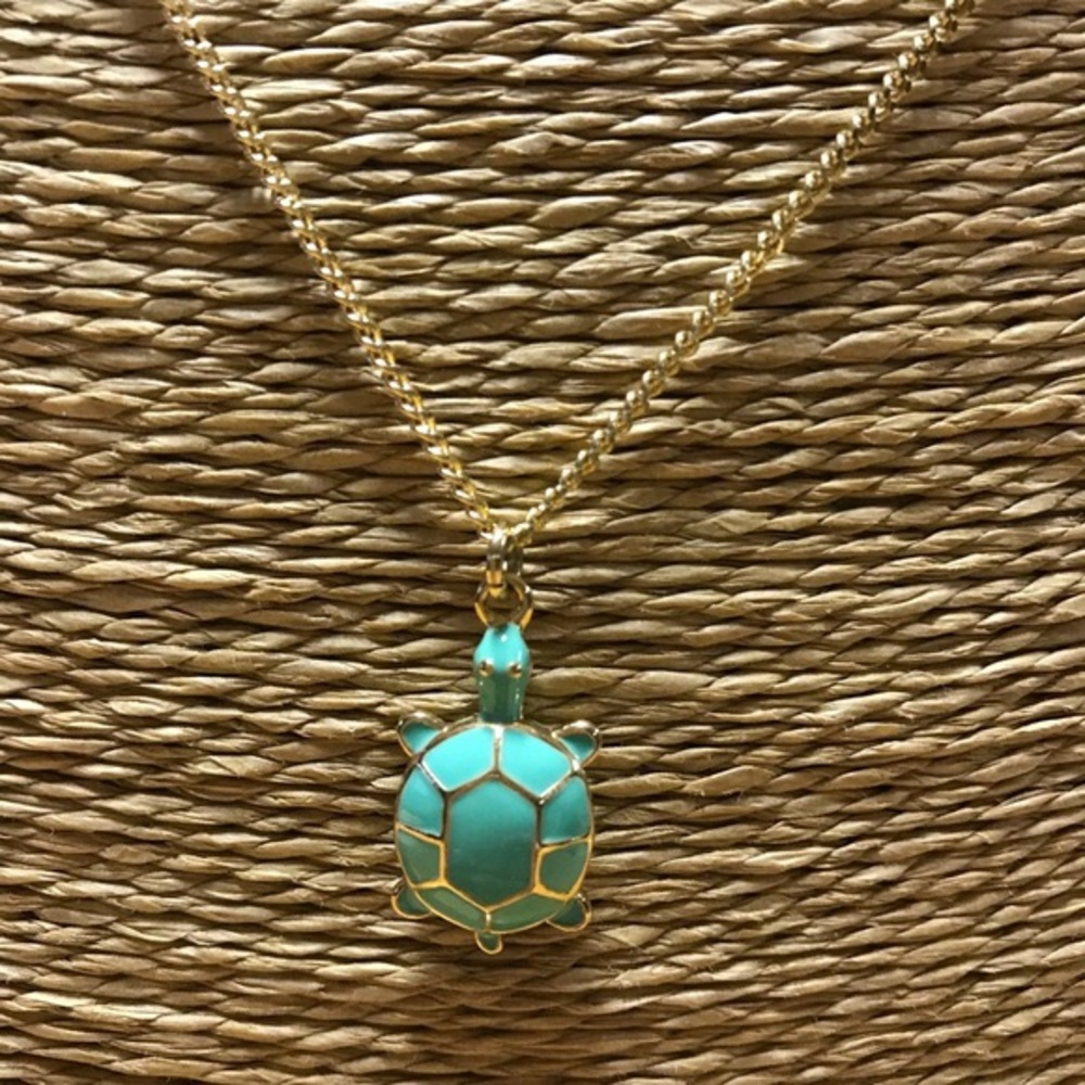 J Crew Enamel Turtle Necklace (long)